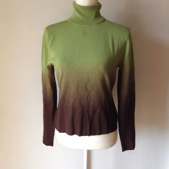Darjoni Silk Blend Turtleneck Sweater/ Ombre Green to Brown/ Medium - Picture 6 of 9